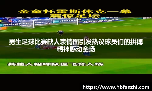 3377体育官网