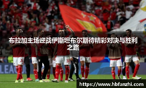 3377体育官网
