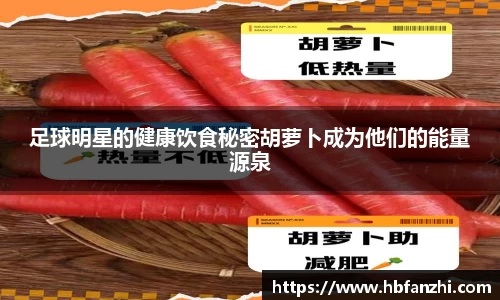 3377体育平台