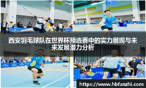 3377体育官网