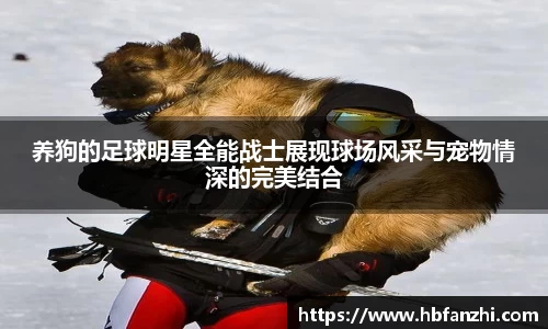 养狗的足球明星全能战士展现球场风采与宠物情深的完美结合